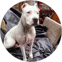 sandra C.G profile picture